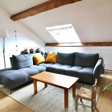 Les Hauts Du Chateau Chambéry Extérieur photo